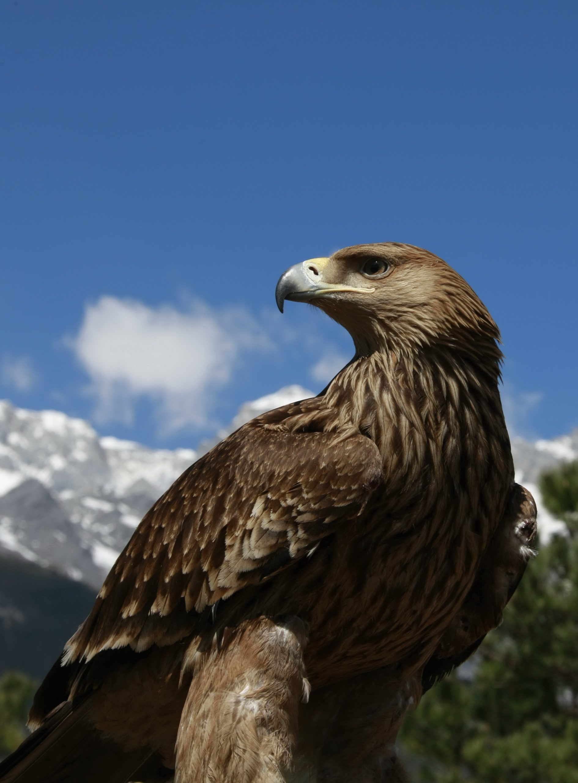 网页导航-Powered by 广西誓约科技